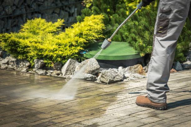 Best Fence Cleaning  in Flushing, MI