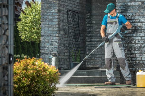 Best Animal Enclosure Cleaning  in Flushing, MI