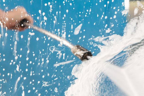 Animal Enclosure Cleaning in Flushing, MI