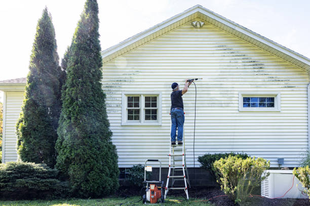 Best Spring Cleaning  in Flushing, MI